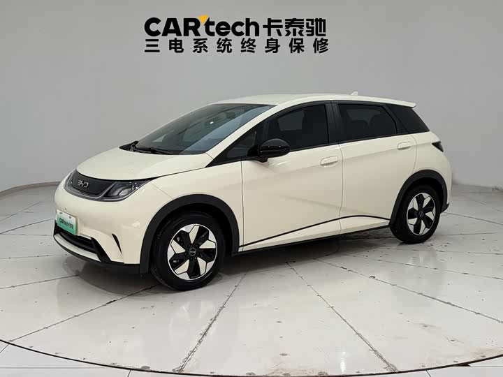 2024 Dolphin 2024 Honor Edition 420km Free Edition