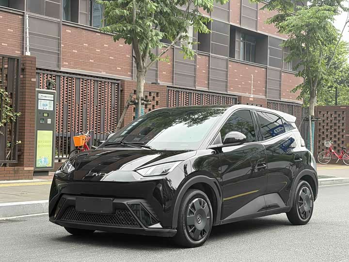 Seagull 2024 Honor Edition 305km Vitality Edition