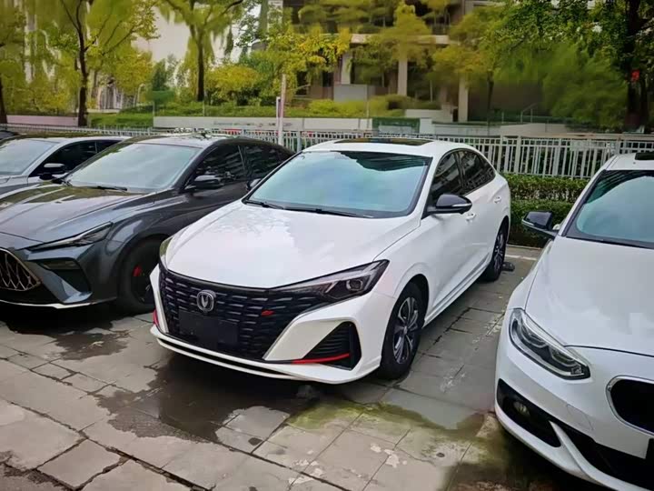 Yidong 2023 Changxiang Edition PLUS Blue Whale NE 1.4T GDI DCT Distinguished Edition