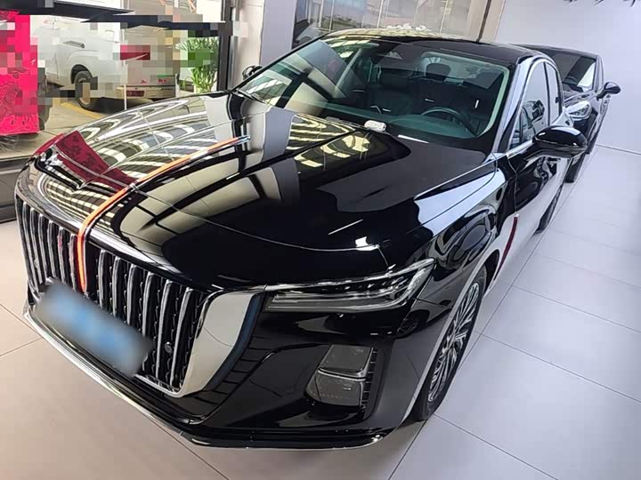 Hongqi H5 2024 2.0T Automatic Zhilian Qichang Edition