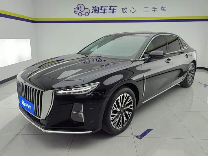 Hongqi H5 2024 2.0T Automatic Zhilianqichang Edition