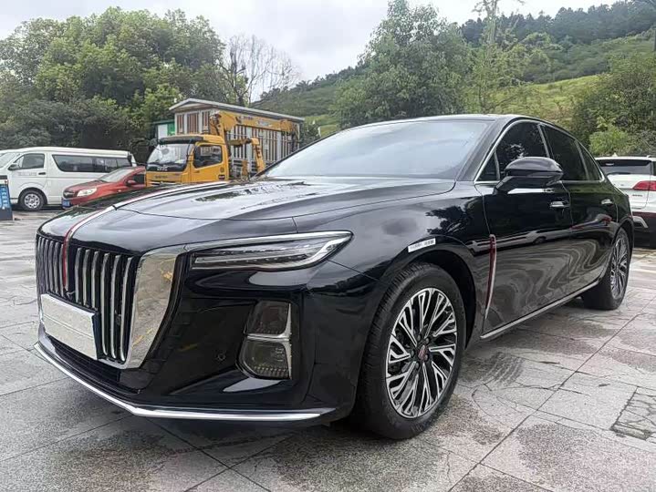 Hongqi H5 2024 2.0T Automatic Zhilian Qichang Edition