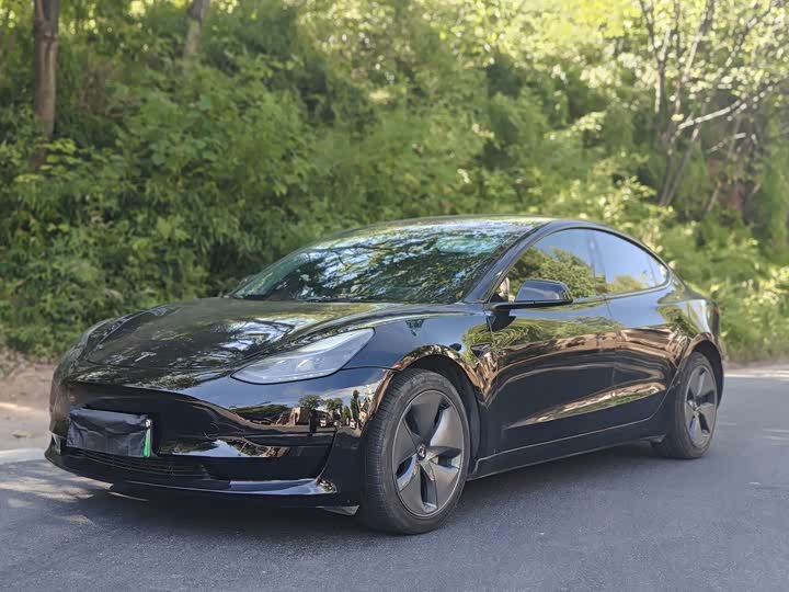 Tesla Model 3 2022 Rear-Wheel Drive