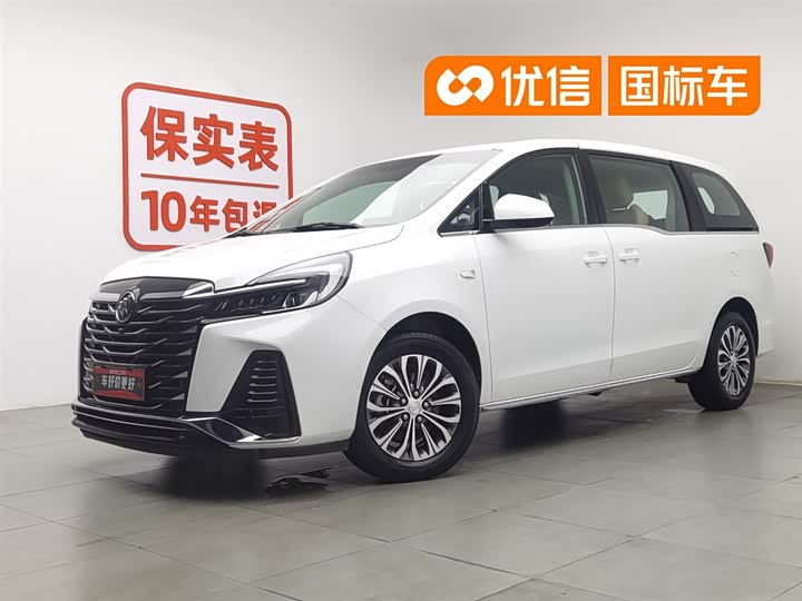 2023 Buick GL8 2023 Land Business Class Comfort Type