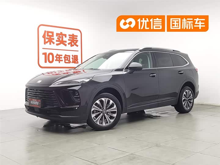 Envision Plus 2024 Envision Plus 28T two-wheel drive exclusive version