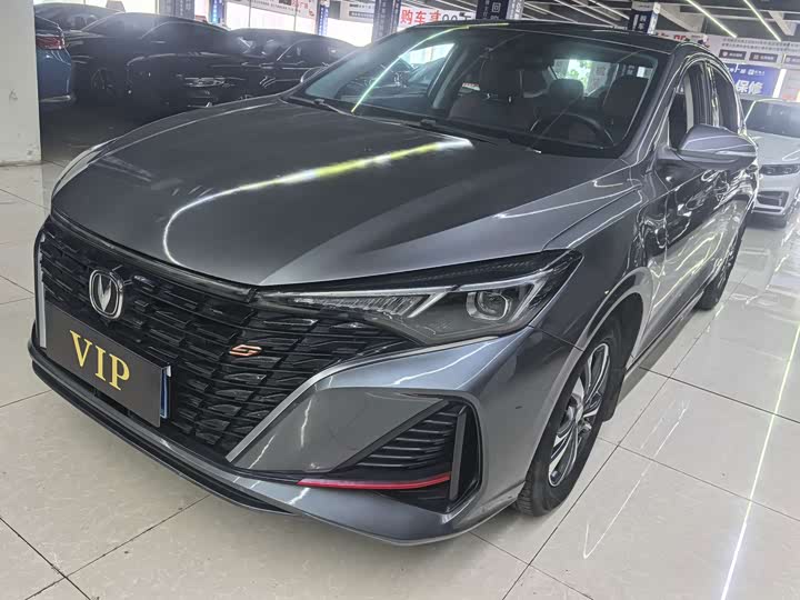 Yidong 2023 Changxiang Edition PLUS Blue Whale NE 1.4T GDI DCT Distinguished Edition