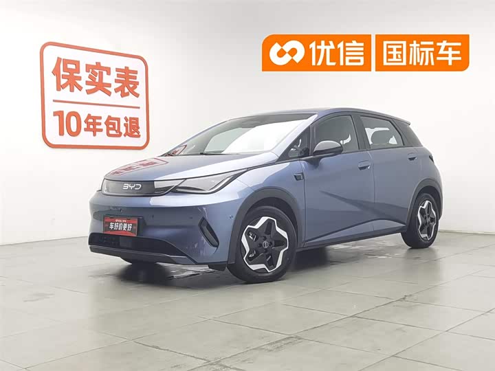 2025 Dolphin 2025 smart driving version 420km free version
