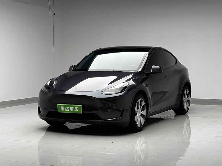 Model Y 2021 Model Long Range Edition 3D7