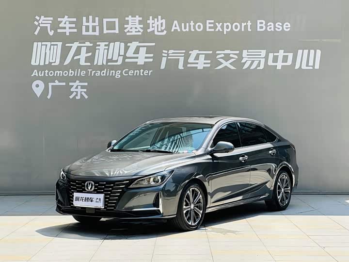 Ruicheng CC 2022 Blue Whale Edition 1.5T DCT Luxury Model