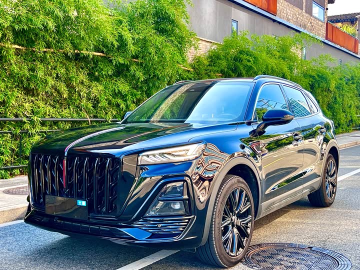 Hongqi HS5 2025 2.0T two-wheel drive Xuanying Edition