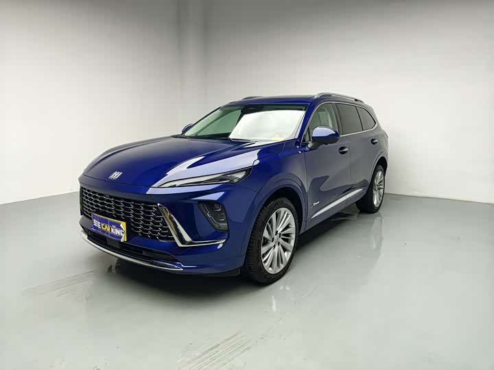 Envision Plus 2025 Envision Plus four-wheel drive Avenir
