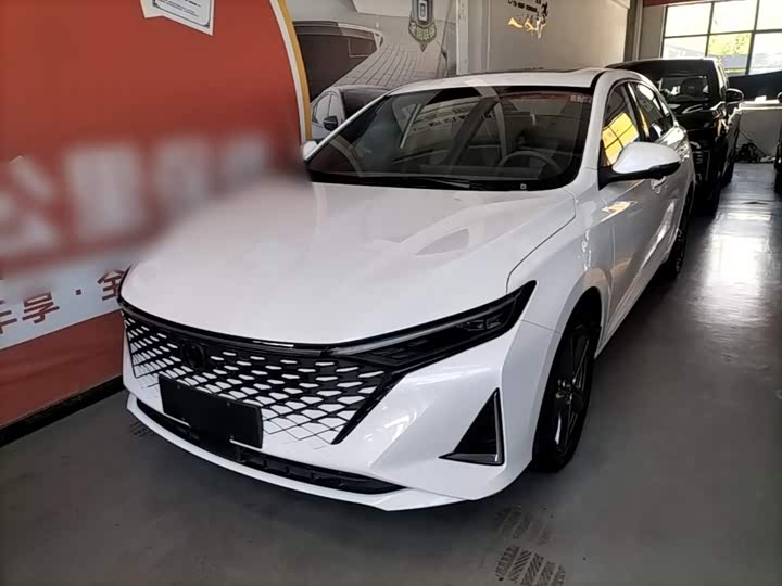 Ruicheng PLUS 2023 1.5T DCT premium model