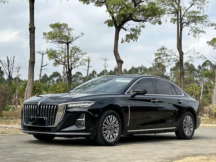 Hongqi H5 2023 2.0T Automatic Zhilianqichang Edition