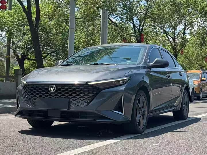 Ruicheng PLUS 2023 1.5T DCT premium model