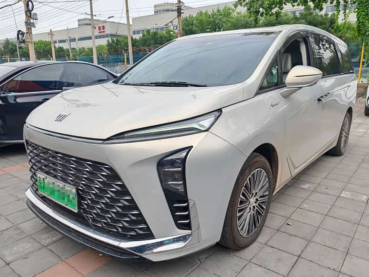 Buick GL8 New Energy 2024 Lu Zun Exclusive Edition 7 seats
