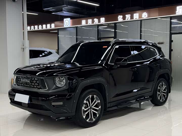 Haval Big Dog PLUS 2023 1.5T two-wheel drive trendy version Plus
