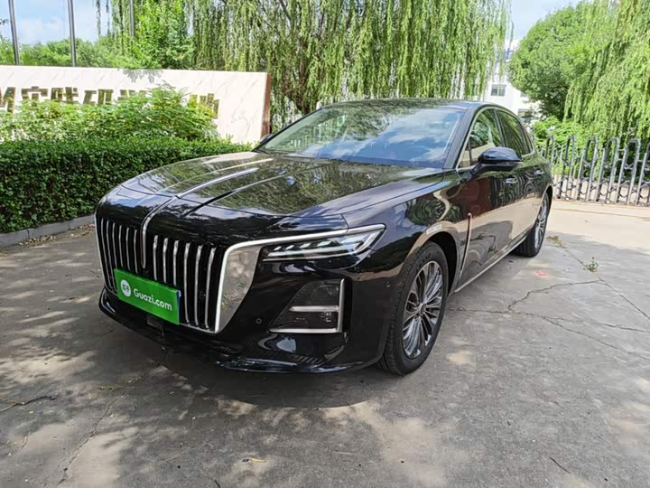 Hongqi H5 2025 2.0T automatic Qichang version