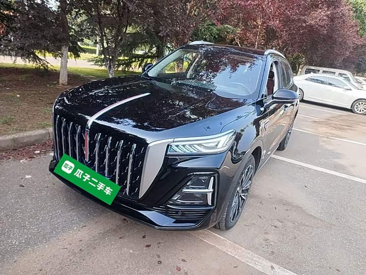 Hongqi HS5 2025 2.0T four-wheel drive Qixiang Pro version
