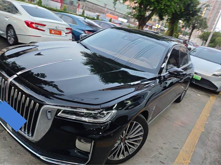Hongqi H9 2020 2.0T Zhilian Qichang Edition