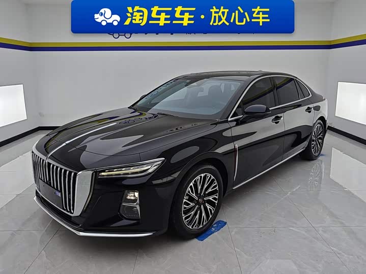 Hongqi H5 2024 2.0T Automatic Zhilianqichang Edition