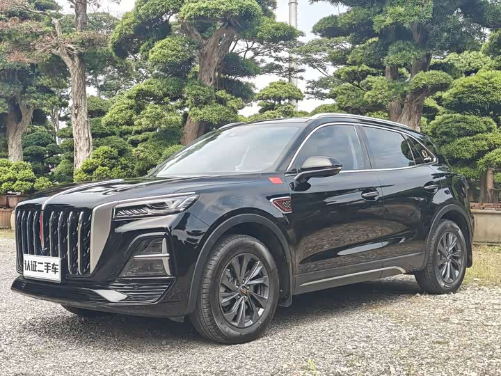 Hongqi HS5 2025 2.0T two-wheel drive Qixiang Pro version