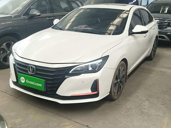 Ruicheng CC 2021 Blue Whale Edition 1.5T DCT Luxury Model
