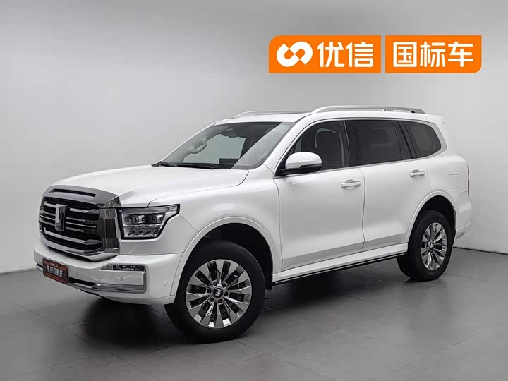 Tank 500 2022 model 3.0T sports version, environment type, 7 seats