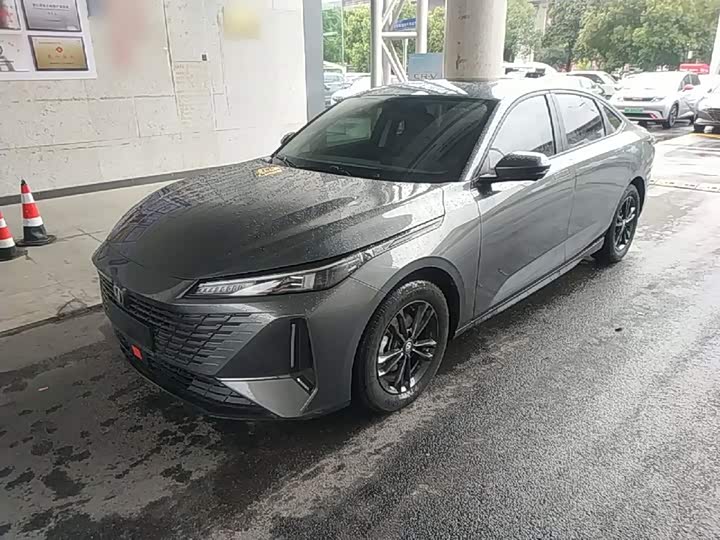 Yida 2023 Blue Whale NE 1.5T GDI DCT Exclusive Type