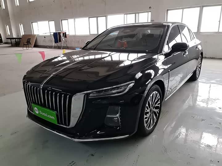 Hongqi H5 2024 2.0T Automatic Zhilianqichang Edition