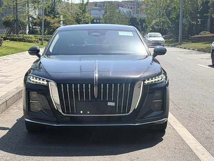 Hongqi H5 2024 2.0T automatic smart connected flag version