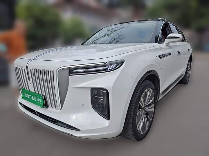 Hongqi E-HS9 2021 model 460km flagship version six seats