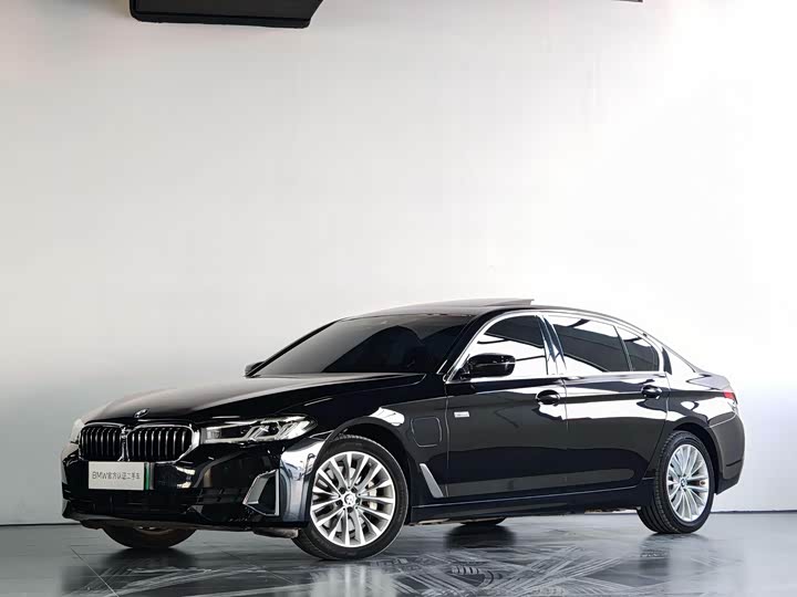 BMW 5 Series New Energy 2021 535Le Luxury Package