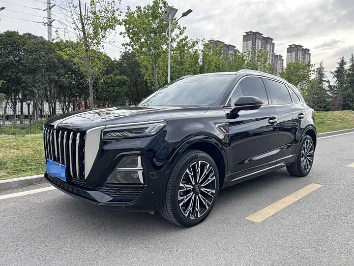 Hongqi HS5 2023 2.0T four-wheel drive Qixiang Pro 500,000 units commemorative edition
