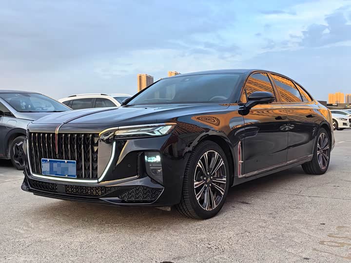 Hongqi H9 2024 2.0T Qixiang Private Fashion Edition
