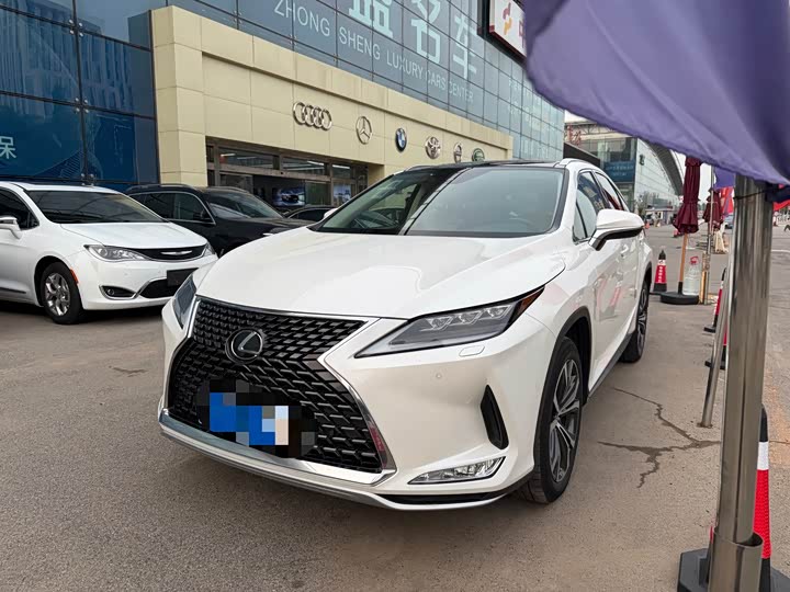 Lexus RX 2020 300 four-wheel drive elegant version National VI