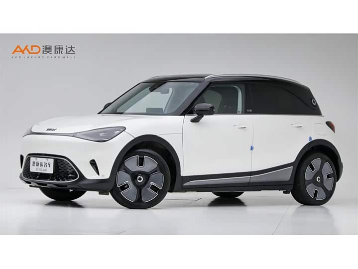 smart Elf #1 2024 Premium Edition