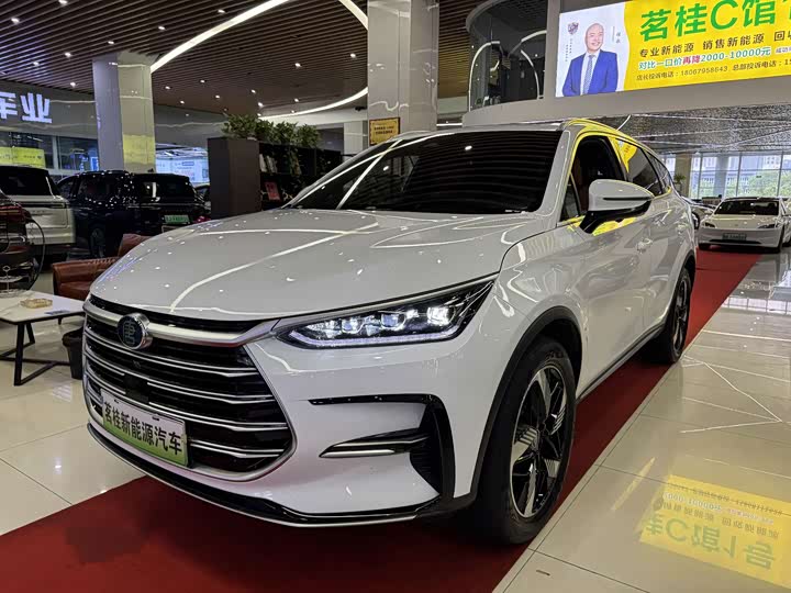 Tangxin Energy 2023 DM-i Champion Edition 112KM Exclusive Type