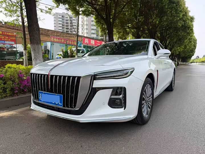 Hongqi H5 2023 2.0T automatic smart connected flag version