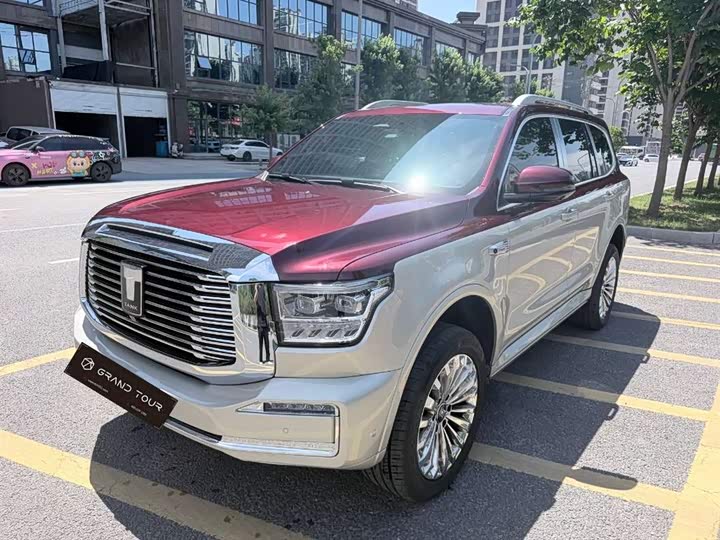 2023 Tank 500 2022 3.0T high-end customized version 5 seats