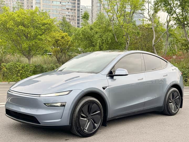 2025 Model Y 2025 rear-wheel drive version