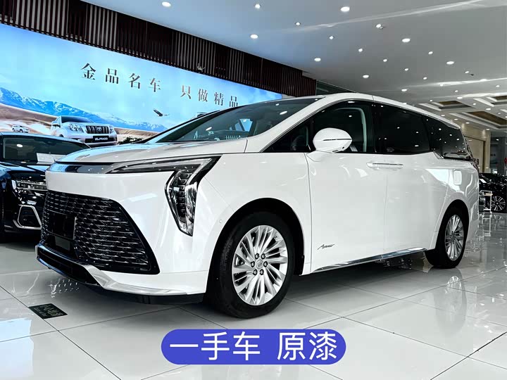 Century 2025 Model 2.0T Seven-Seater Yunshi Edition