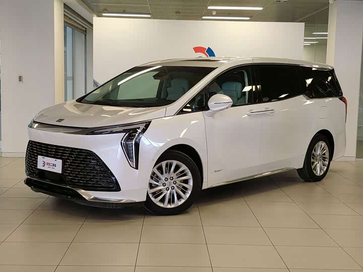 Century 2025 2.0T Six-seater Yuanshi Edition