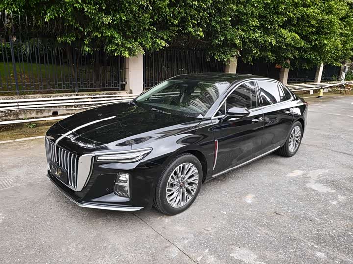Hongqi H5 2023 2.0T Automatic Zhilianqichang Edition