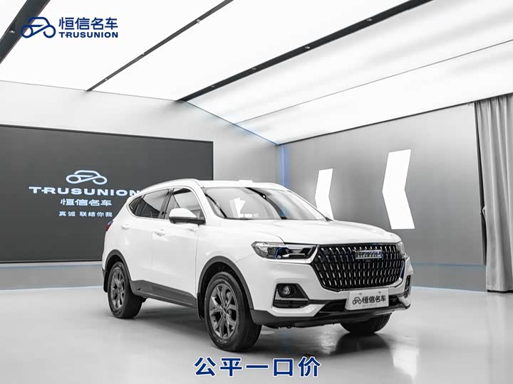 2021 Haval H6 2021 Guochao Edition 1.5T Automatic Urban Edition