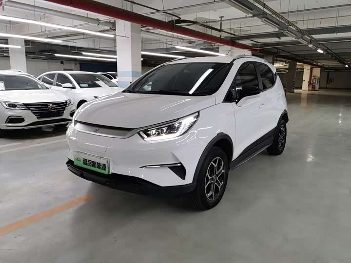 2022 Yuan Pro 2023 model 401KM luxury model