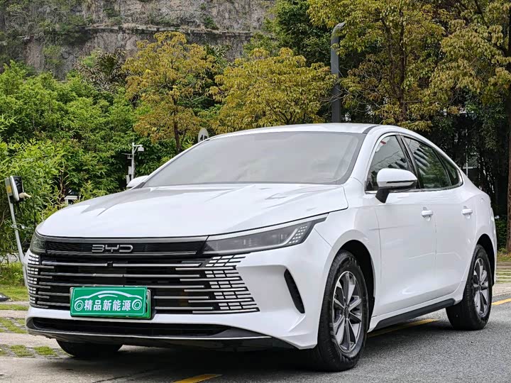 2024 Destroyer 05 2024 Honor Edition DM-i 55KM Luxury Type
