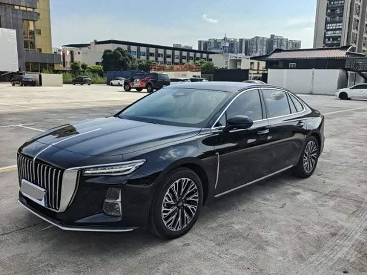 Hongqi H5 2024 2.0T Automatic Zhilianqichang Edition