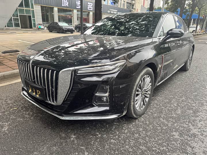 Hongqi H5 2024 2.0T Automatic Zhilianqichang Edition