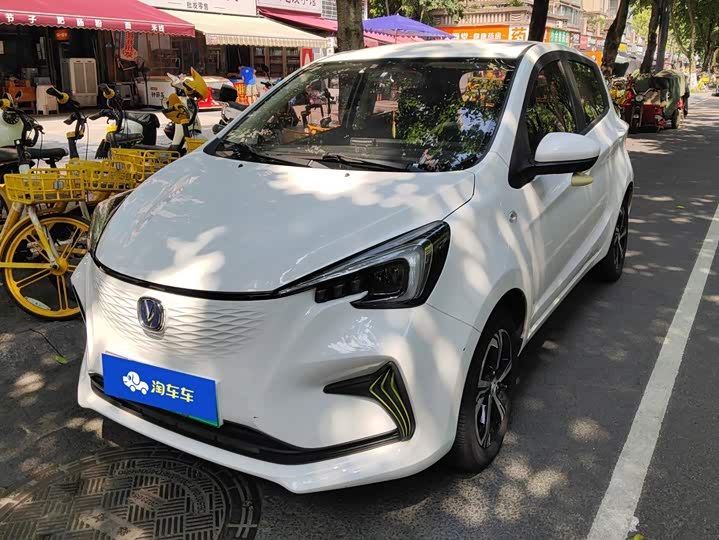 Changan Benben E-Star 2020 Xinyue Edition ternary lithium