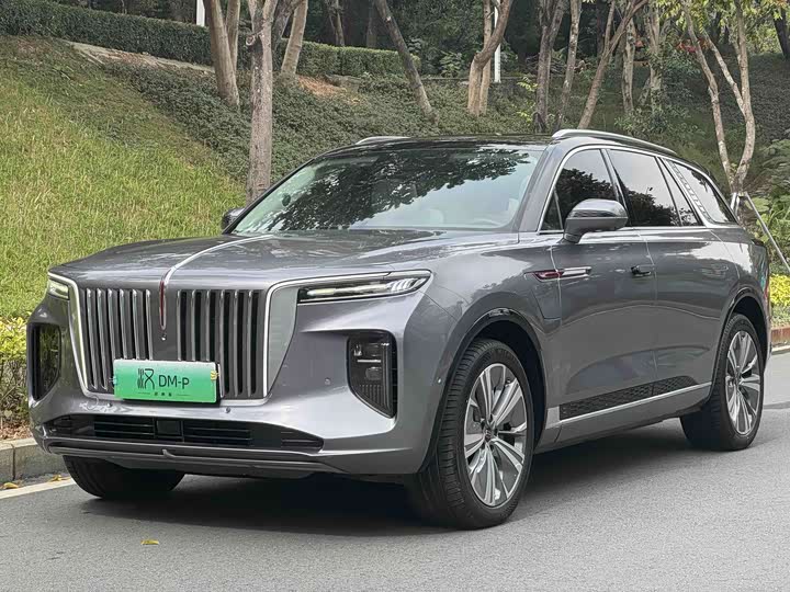 Hongqi E-HS9 2021 model 460km flagship version six seats